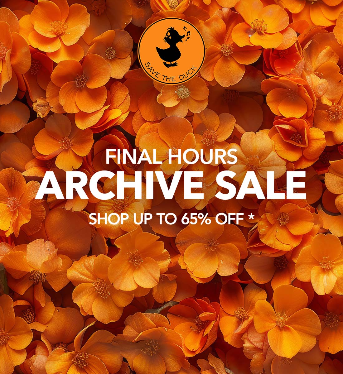 Final hours of the archive sale! 