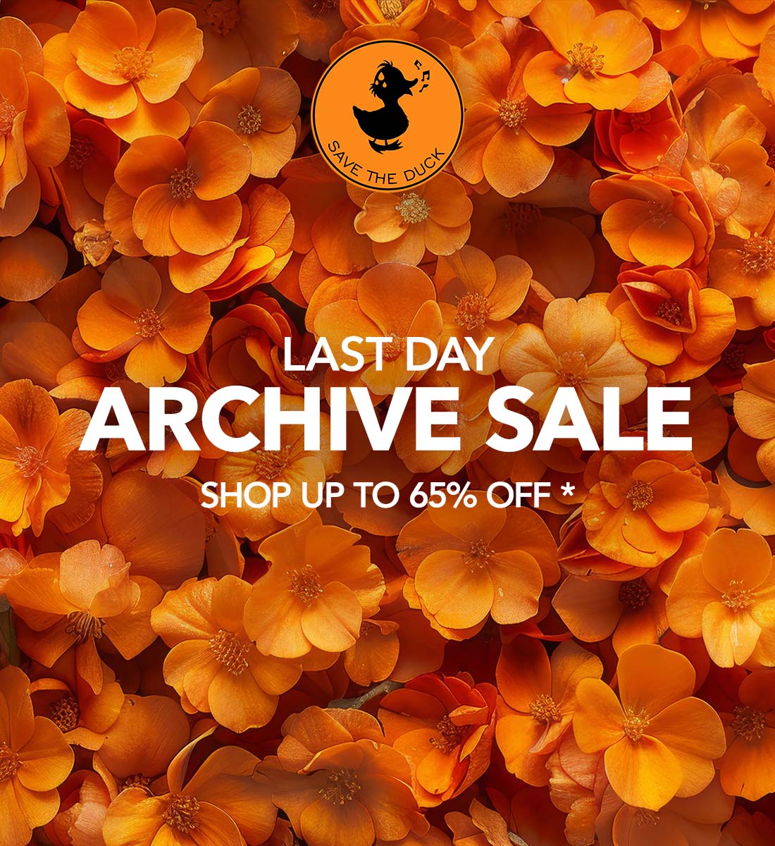 Last day for up to 65% off!