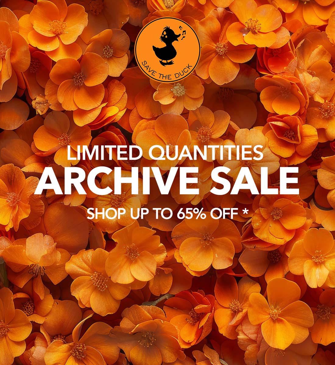 Shop now! Limited quantities in our archive sale