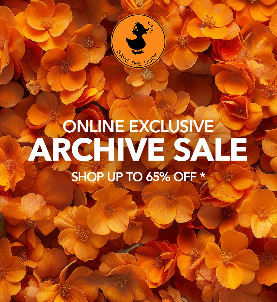 Shop up to 65% off our archive sale!